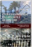 Степа Надомников. Жизнь на чужбине. Год пролетел незаметно. Вера Штольц. А на воле – выборный сезон. Серия 9–10 (сборник)