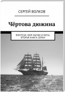 Чёртова дюжина. Фэнтези. Мир магии и меча. Вторая книга серии