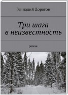 Три шага в неизвестность. Роман