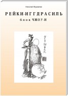 Дао Рейки-Иггдрасиль. Блок «Чжоу-И»