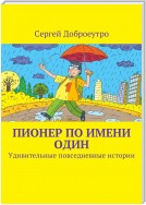 Пионер по имени Один. Удивительные повседневные истории