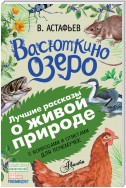 Васюткино озеро. Рассказы с вопросами и ответами для почемучек