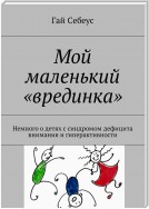 Мой маленький «врединка». Немного о детях с синдромом дефицита внимания и гиперактивности