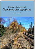 Прошлое без перерыва. Книга повестей