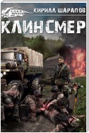 Клинсмер