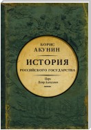 Азиатская европеизация. История Российского государства. Царь Петр Алексеевич