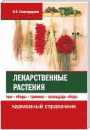 Лекарственные растения: чаи, сборы, травник, календарь сбора