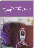 Flying in the cloud