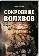 Сокровище волхвов. Роман-фэнтези