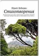 Стихотворения. Исторические зарисовки. Иронические зарисовки. Наедине с природой. Путешествие мысли. Новогодняя сказка (пьеса)