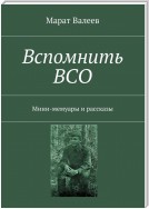 Вспомнить ВСО. Мини-мемуары и рассказы