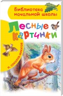 Лесные картинки