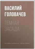 Темная засада