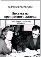 Письма из прекрасного далека. Книга первая. Стройотряд «Дельфин»