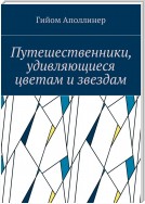 Путешественники, удивляющиеся цветам и звездам