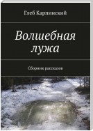 Волшебная лужа. Сборник рассказов