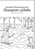 Поворот судьбы. Юмористические рассказы