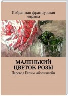 Маленький цветок розы. Перевод Елены Айзенштейн