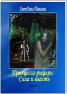 Принцесса-рыцарь – 4: Сила и власть