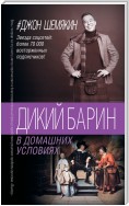 Дикий барин в домашних условиях (сборник)