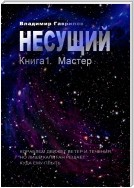 Несущий. Книга 1. Мастер