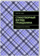 Стихотворный взгляд гражданина. Гражданская лирика