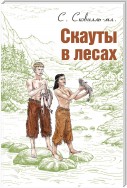 Скауты в лесах