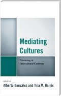 Mediating Cultures