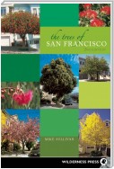 The Trees of San Francisco