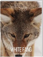 White Fang