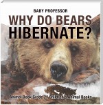 Why Do Bears Hibernate? Animal Book Grade 2 | Children's Animal Books