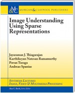 Image Understanding Using Sparse Representations