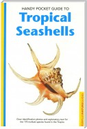 Handy Pocket Guide to Tropical Seashells