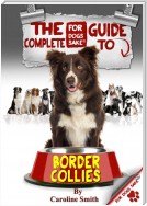 The Complete Guide to Border Collies