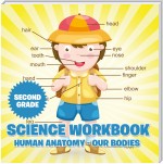 Second Grade Science Workbook: Human Anatomy - Our Bodies