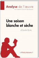 Une saison blanche et sèche d'André Brink (Analyse de l'oeuvre)