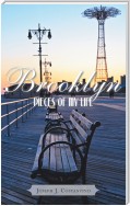 Brooklyn Pieces of My Life