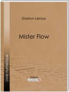 Mister Flow