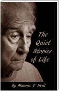 Quiet Stories Of Life