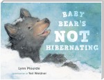 Baby Bear's Not Hibernating