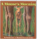 A Moose's Morning