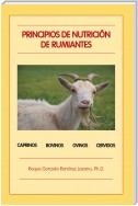 Principios De Nutrición De Rumiantes