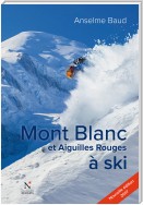Mont Blanc et Aiguilles Rouges à ski