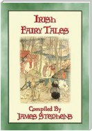 IRISH FAIRY TALES - 10 Illustrated Celtic Children's Stories