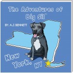 The Adventures of Big Sil New York, NY