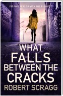 What Falls Between the Cracks