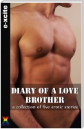 Diary of a Love Brother