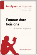 L'amour dure trois ans de Frédéric Beigbeder (Analyse de l'oeuvre)