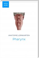 Anatomie Lernkarten: Pharynx