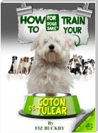How to Train your Coton de Tulear